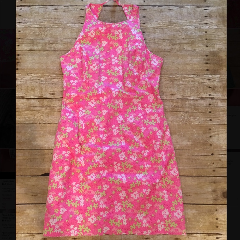 Lilly Pulitzer Pink Hippo Dress Size 10